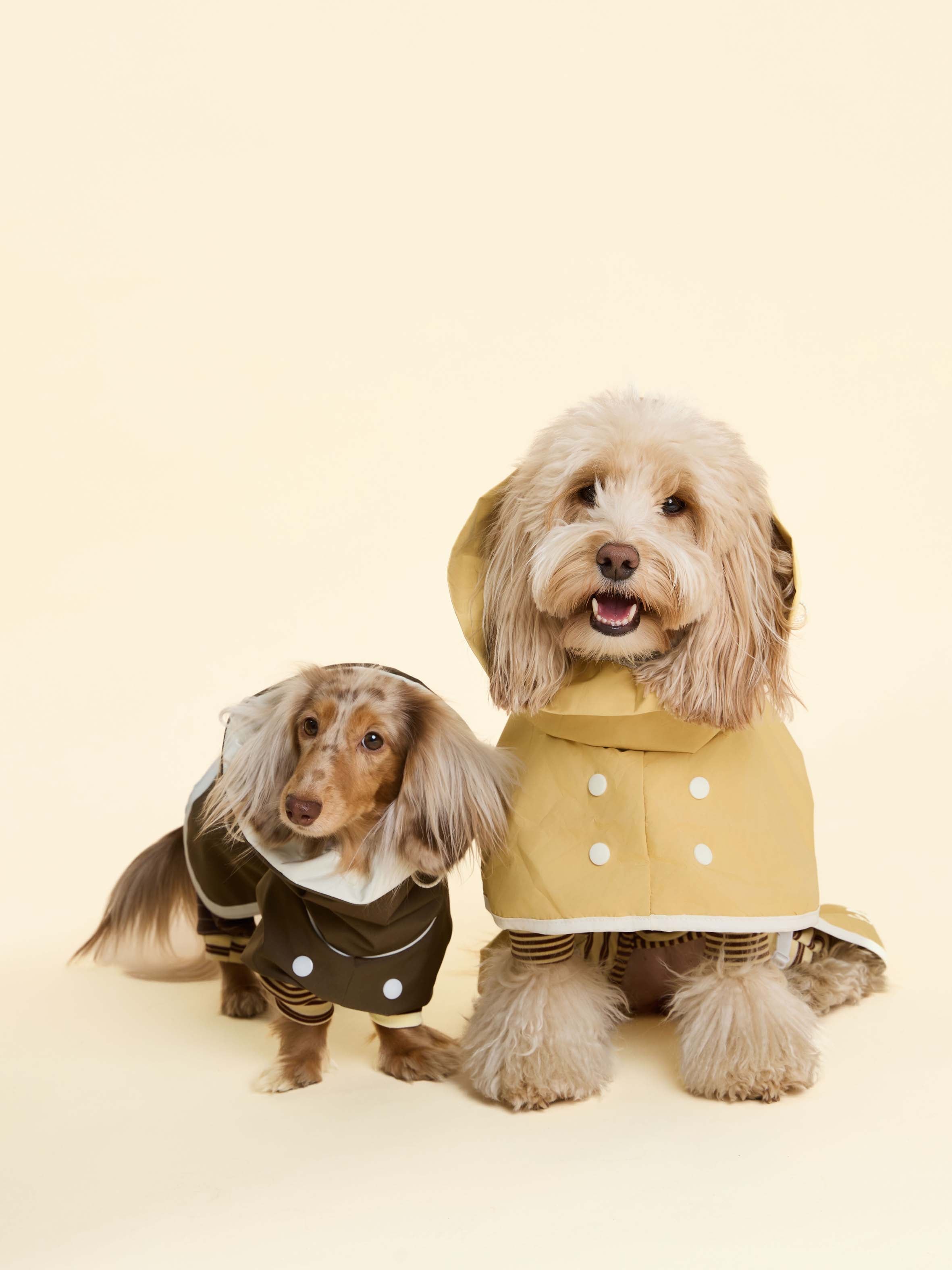 Waterproof Jacket – ZUMIZUMI