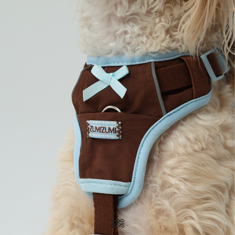 Harness