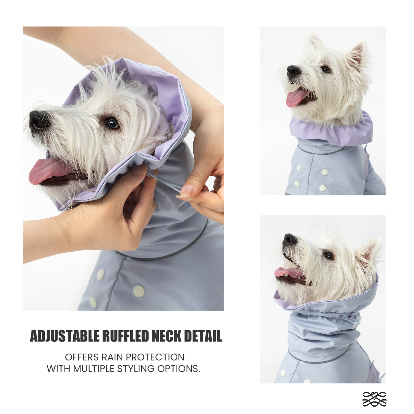 Heath Waterproof Shell Jacket -- Blue & Purple