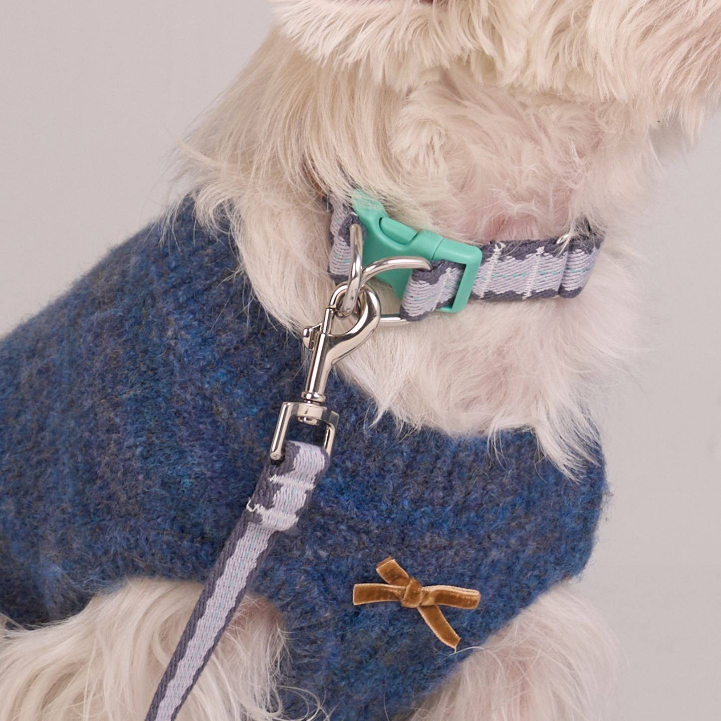 Taro Biscuit Safety Collar -- Lavender / Navy