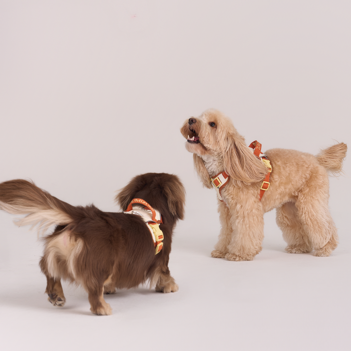 Chelsea Pumpkin Pie Harness--Beige / Dusty Orange