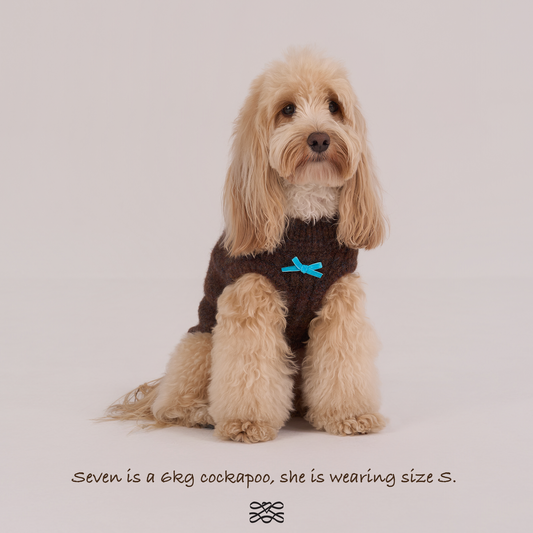 Oxford Knit Vest -- Brown/ Light Blue