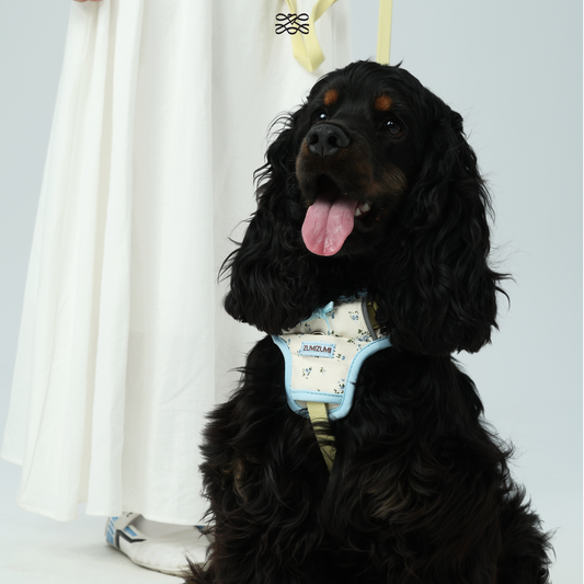 Chelsea Everyday Sporty H-shape Harness--Floral