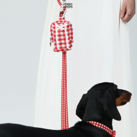 Chelsea Dispensers Walking Pouch -- Red Gingham