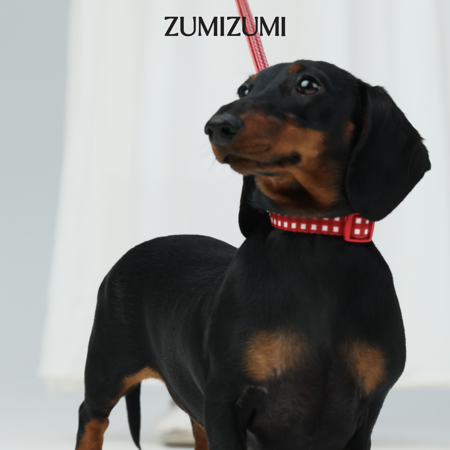 JAM Collar -- Red Gingham