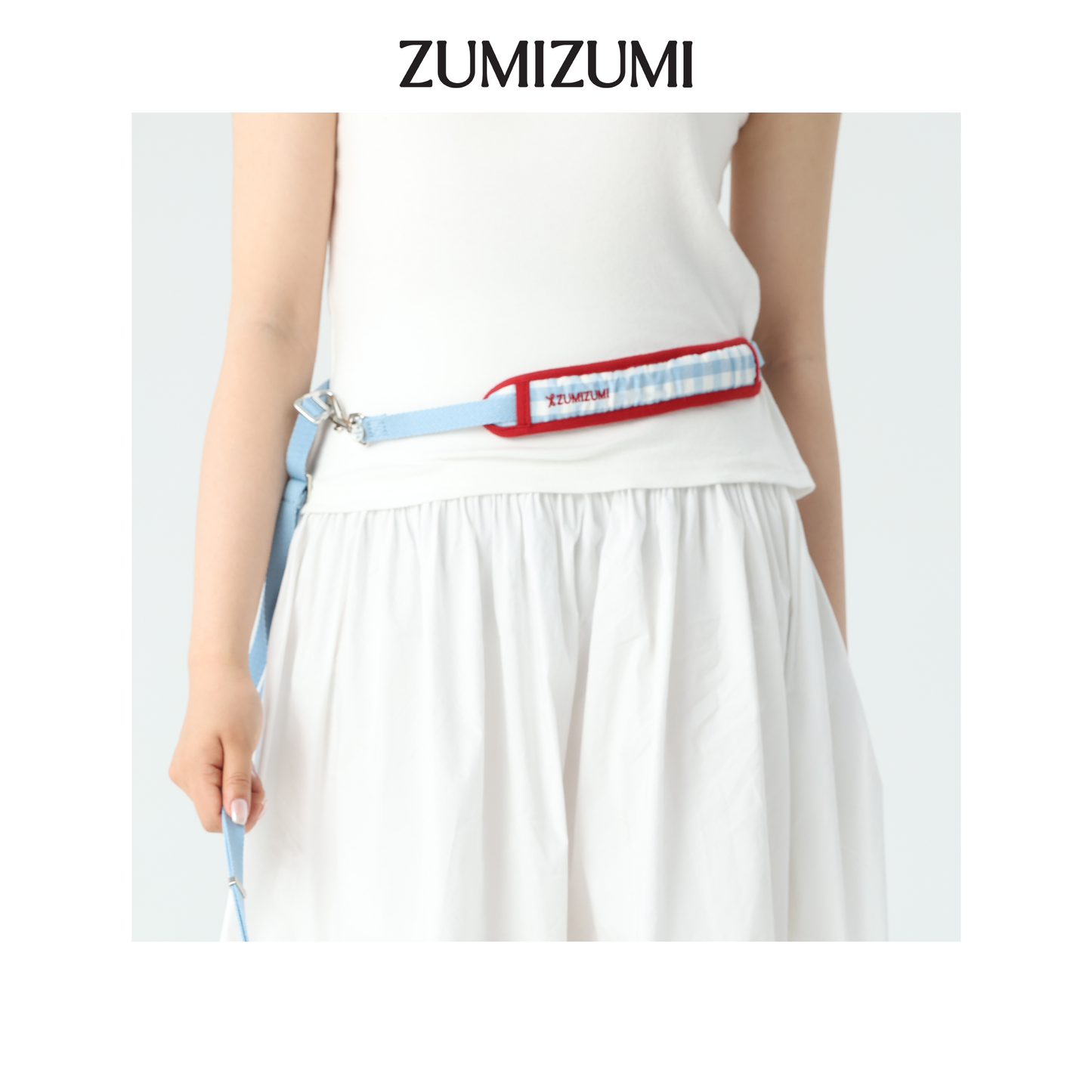 Chelsea Everyday Multi-functional Leash -- Blue Gingham