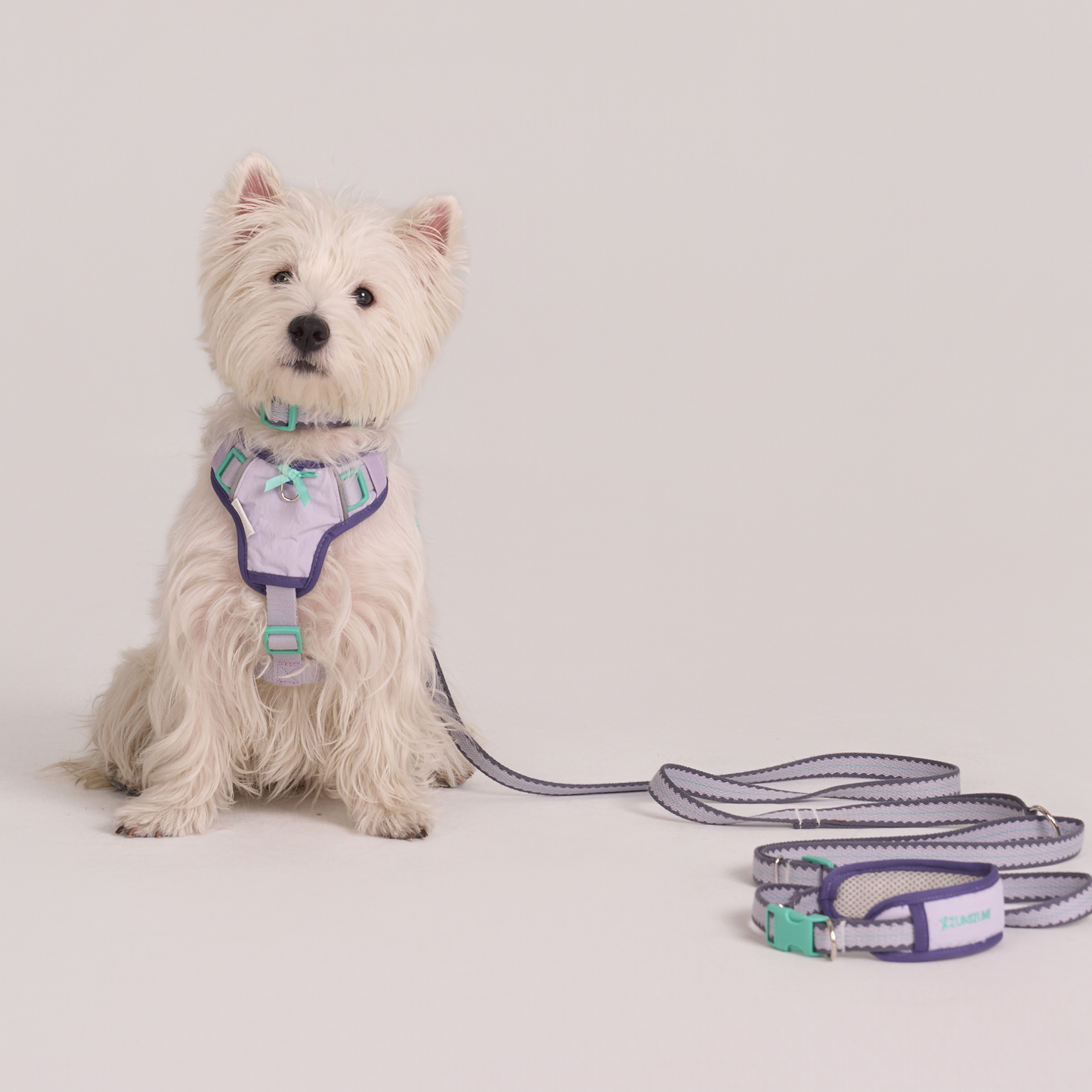 Chelsea Taro Pie Harness--Lavender / Navy