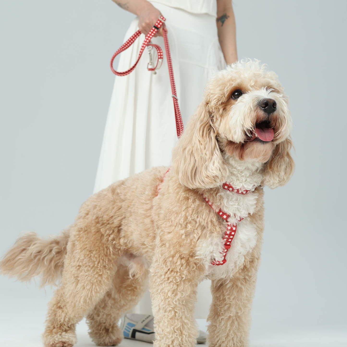 JAM Multi-functional Leash -- Red Gingham