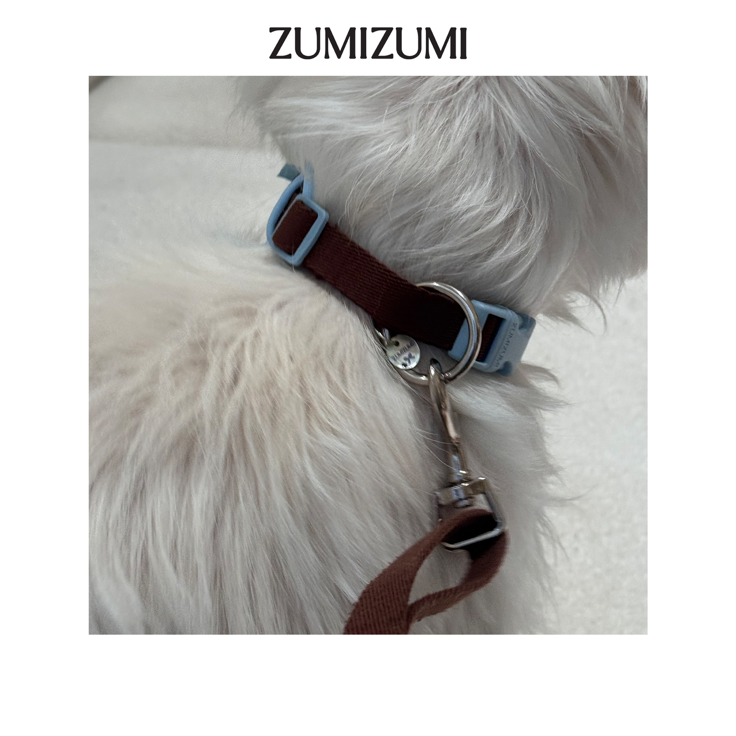 Chelsea Everyday Collar -- Brown&Blue