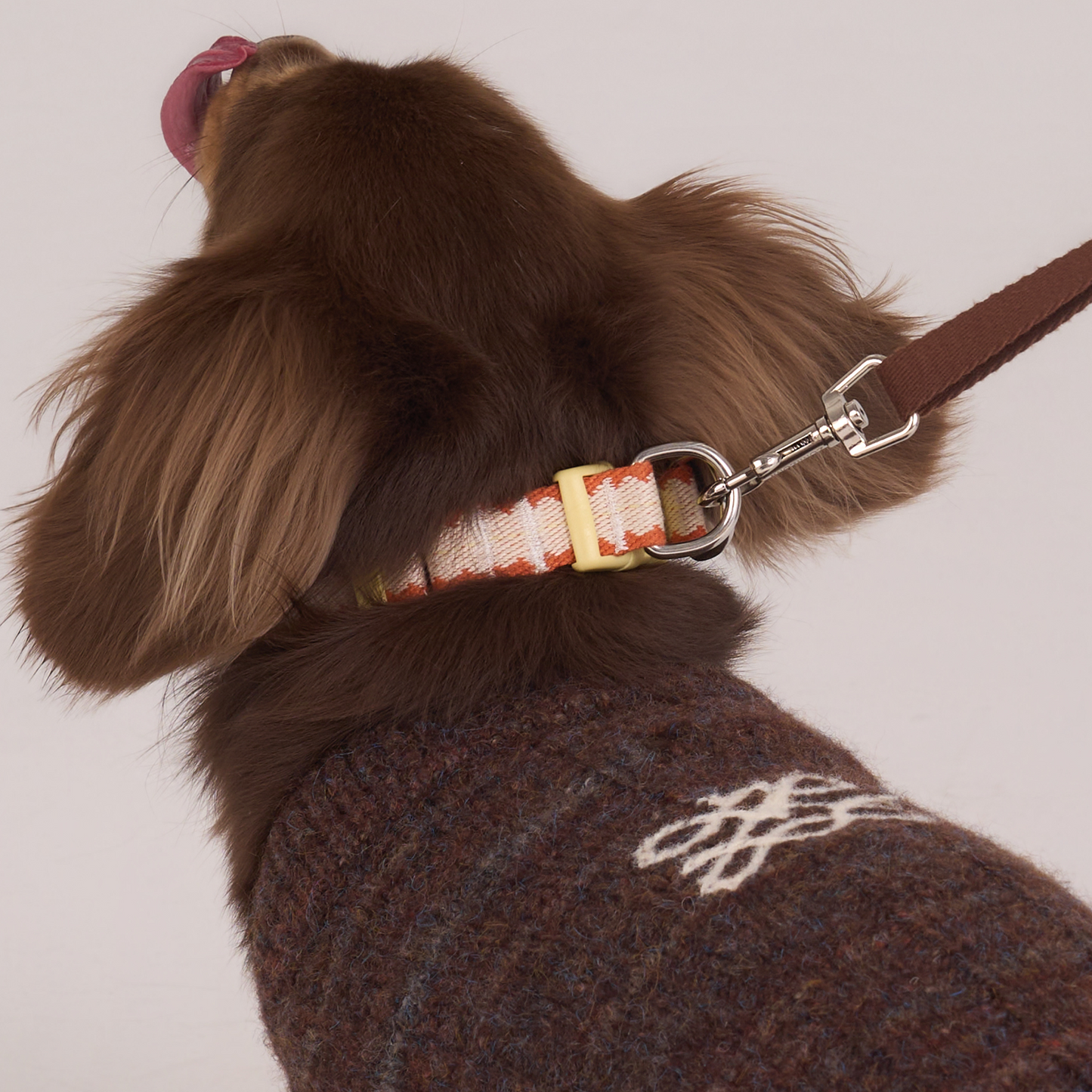 Pumpkin Biscuit Safety Collar -- Beige / Dusty Orange