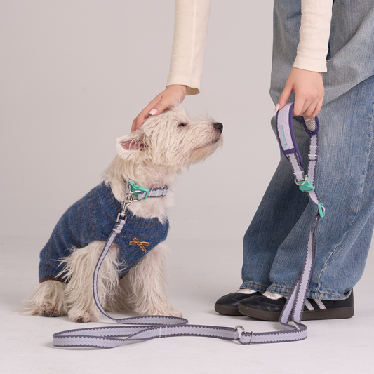 Taro Biscuit Hands-free Leash -- Lavender / Navy / Mint Green