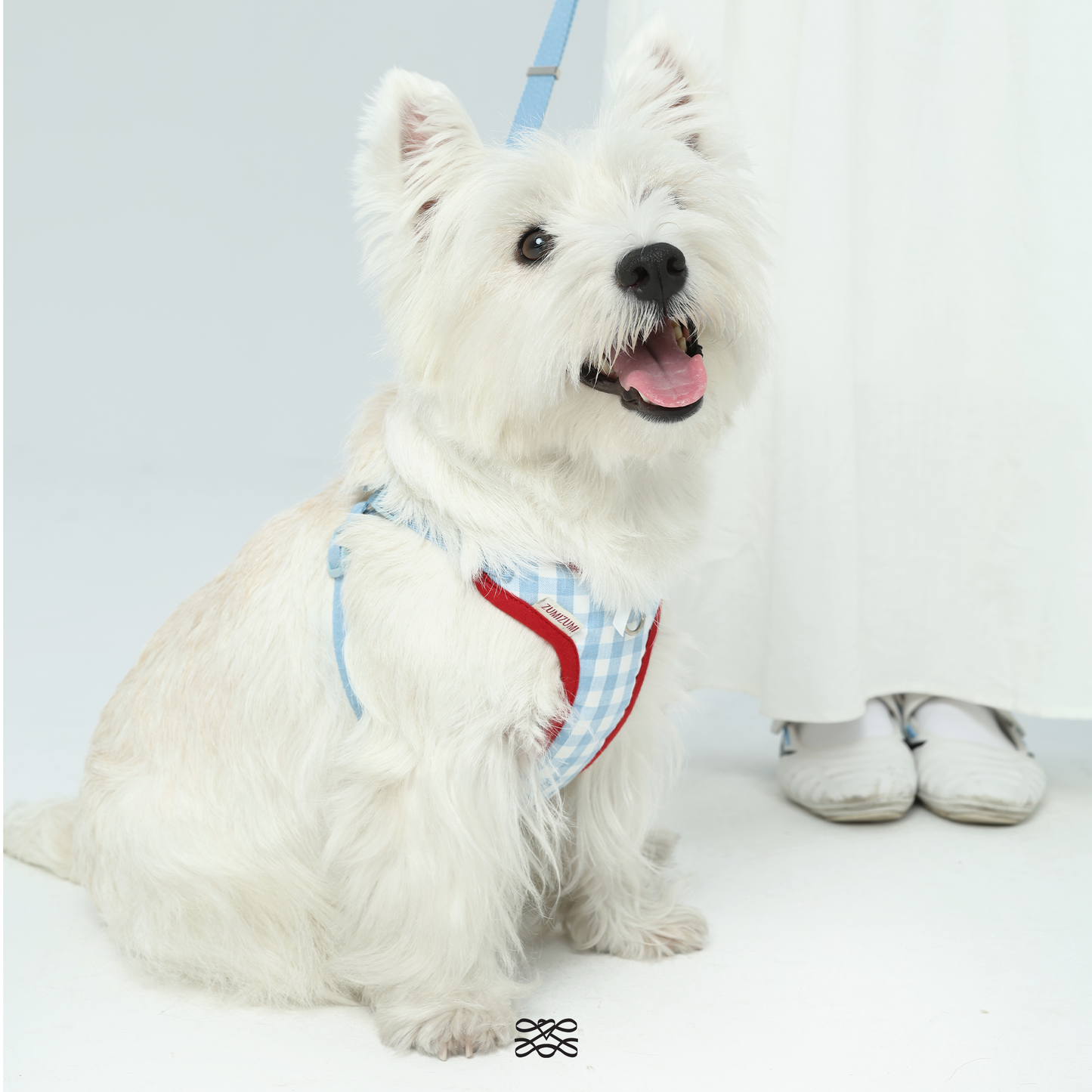 Bliss X-Shape Harness -- Blue Gingham