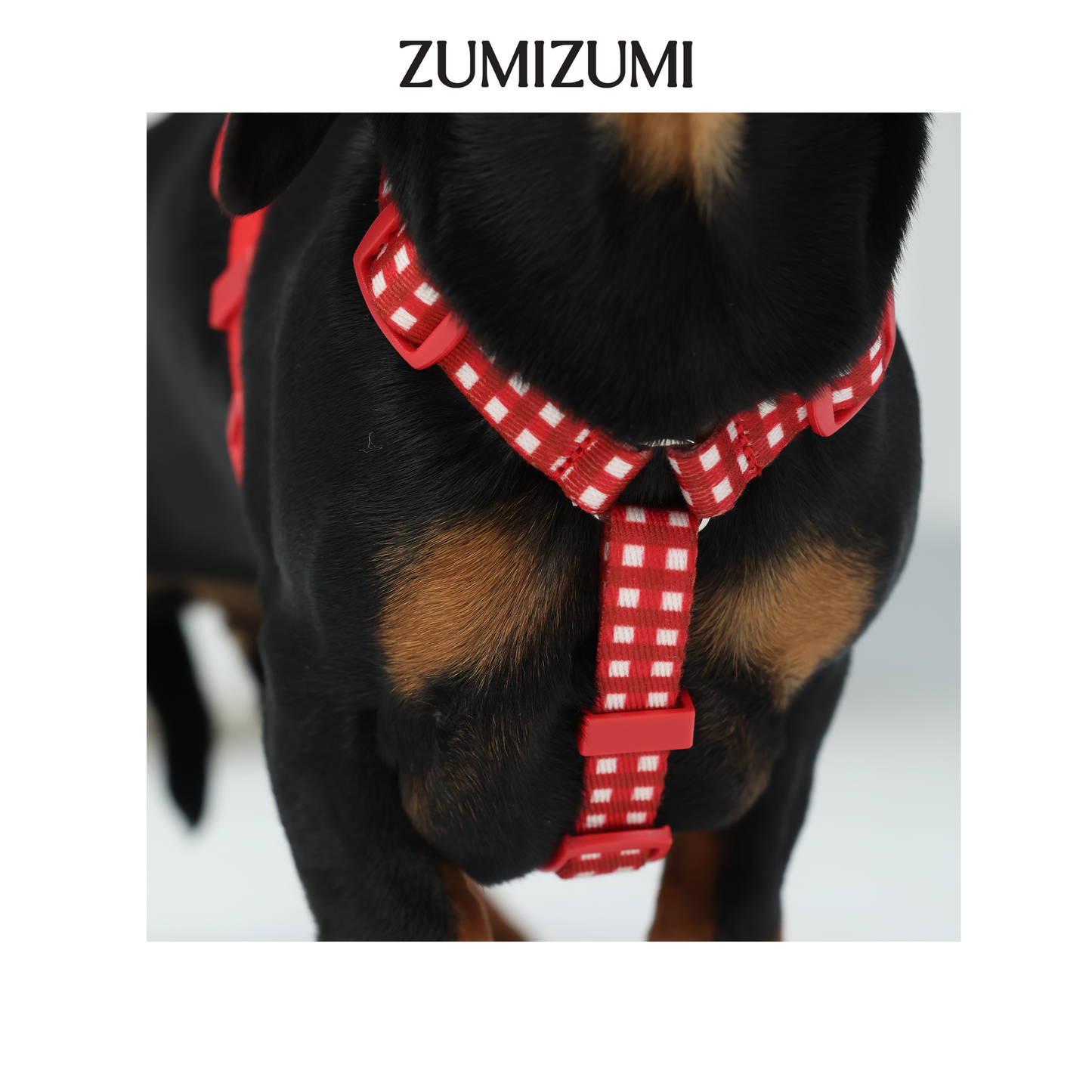 JAM H-Shape Webbing Harness -- Red Gingham