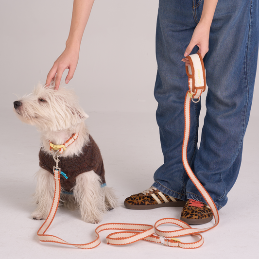 Pumpkin Biscuit Hands-free Leash -- Beige / Dusty Orange / Yellow