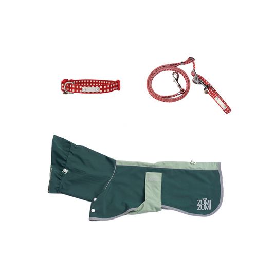 The Christmas Adventure Walkie Set -- Collar