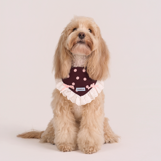 Polka Dot Bandana -- Burgundy/Pink