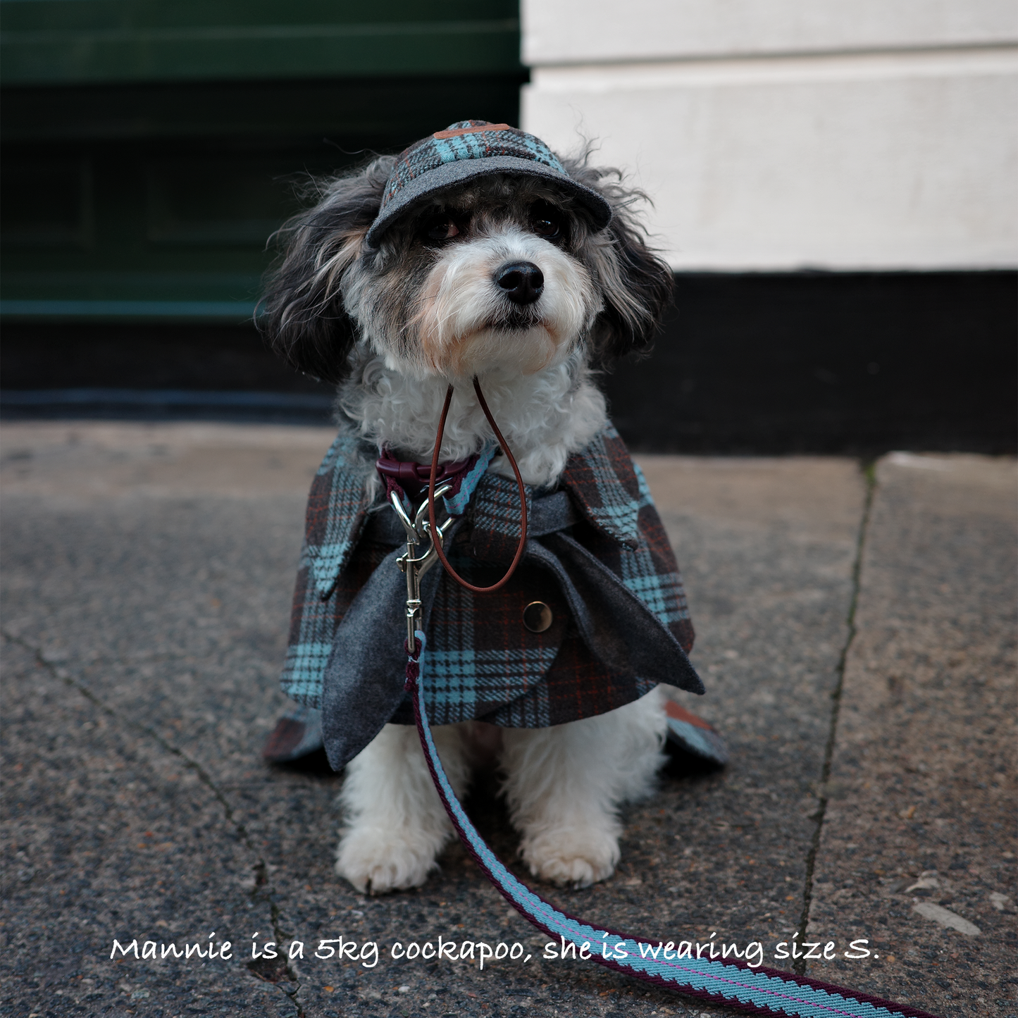 Sherlock Plaid Newsboy Cap --Blue/Grey