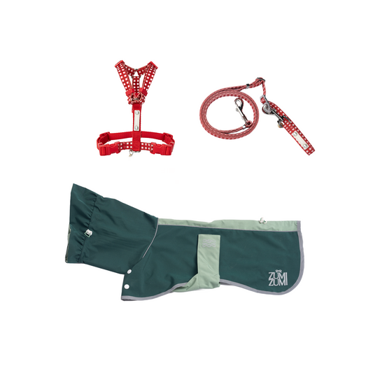 The Christmas Adventure Walkie Set -- Harness