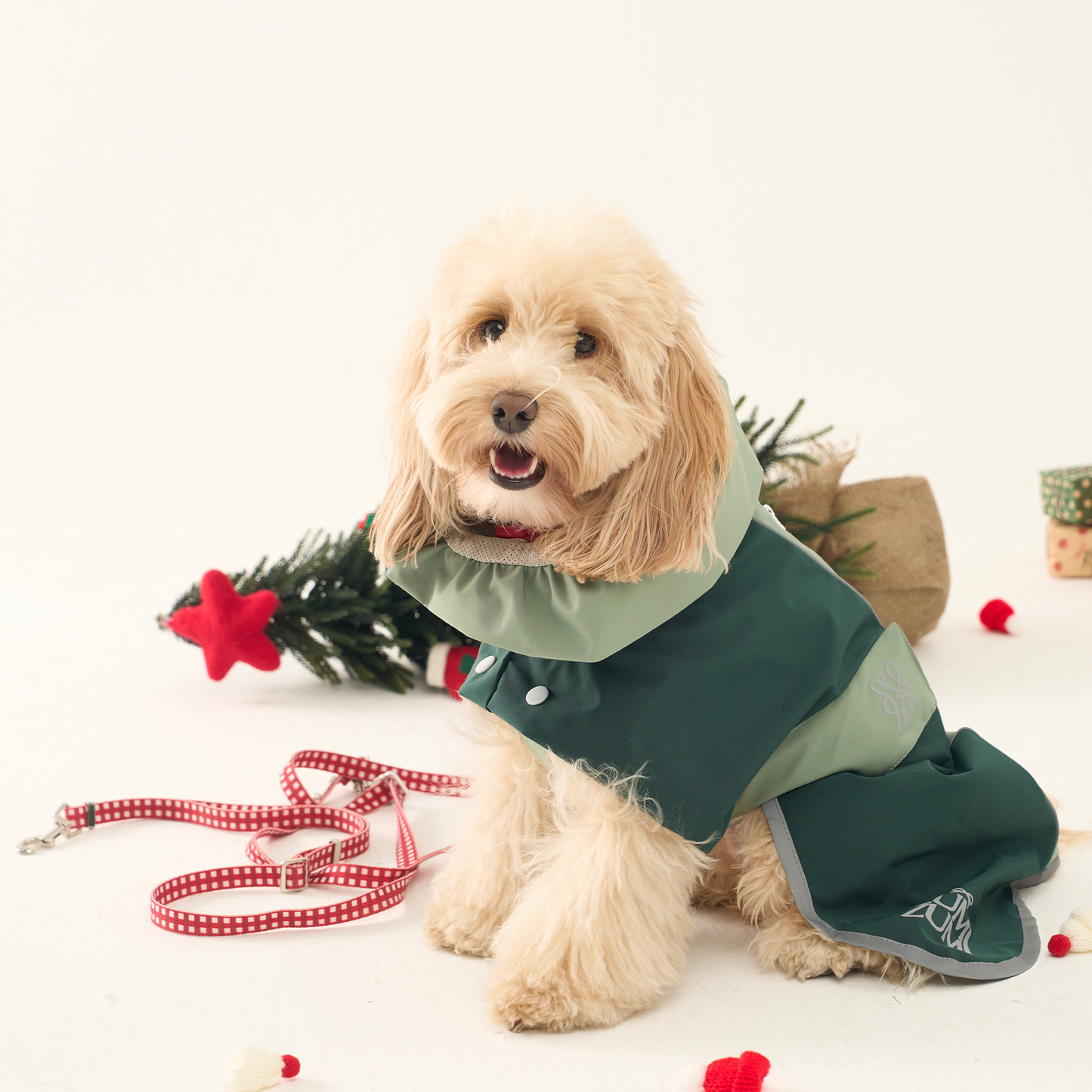 The Christmas Adventure Walkie Set -- Collar