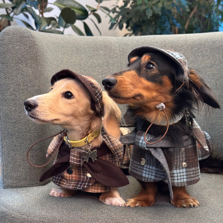 Sherlock Cape Jacket