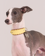 Collier en cuir festonné Mayfair -- Jaune/Marron