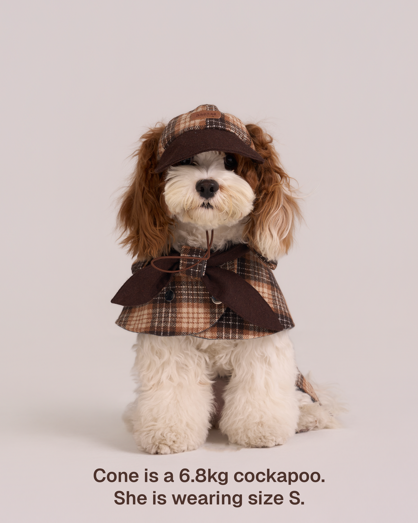 Detective Cape Jacket --Brown/Beige