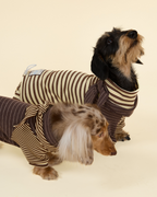 Onesie -- Yellow/Brown
