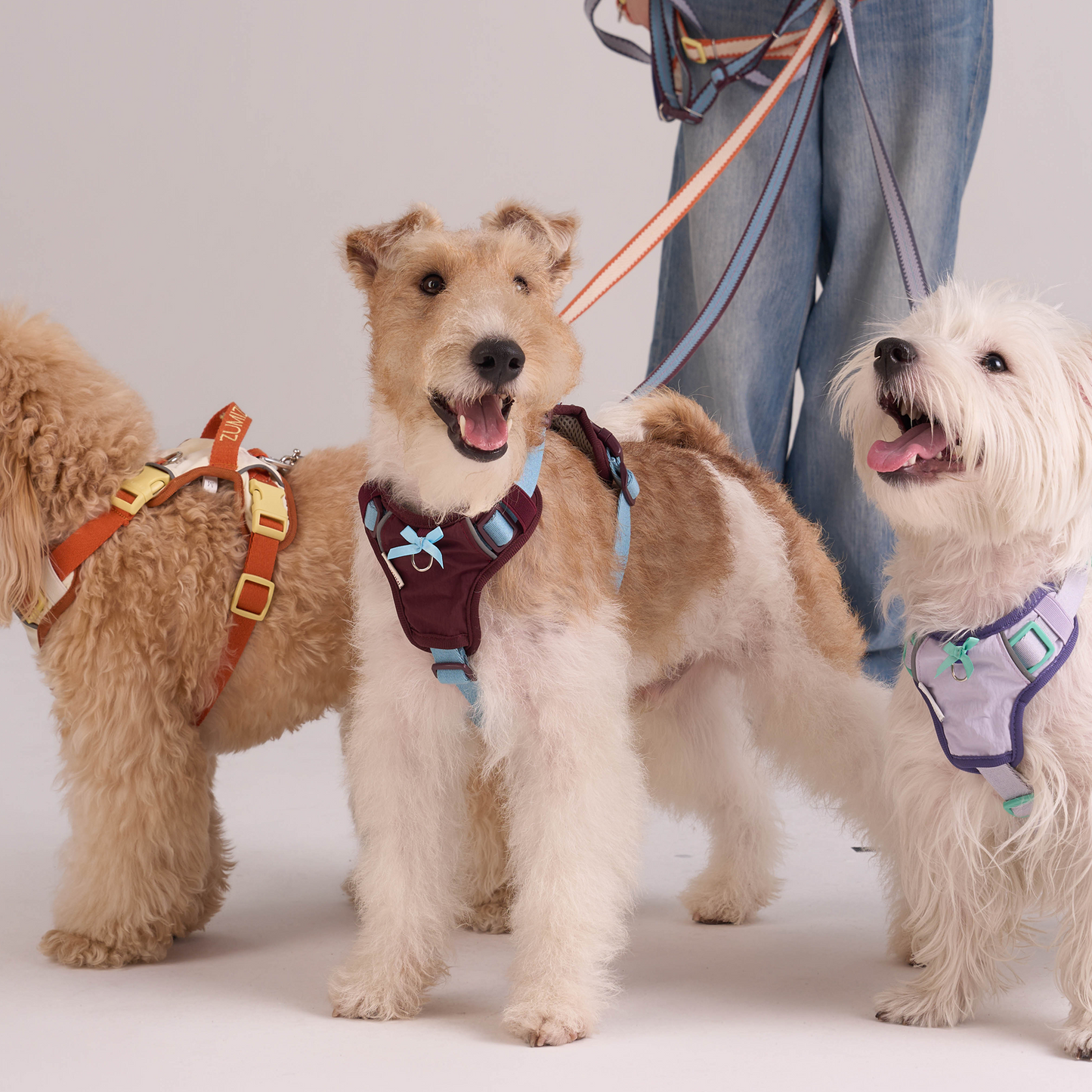 Chelsea Cherry Pie Harness--Burgundy/ Teal