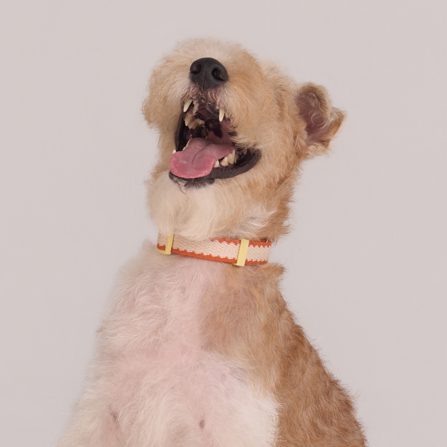 Pumpkin Biscuit Safety Collar -- Beige / Dusty Orange