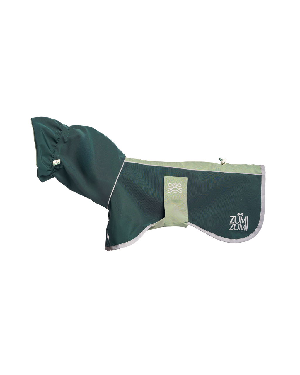 Raincoat -- Green