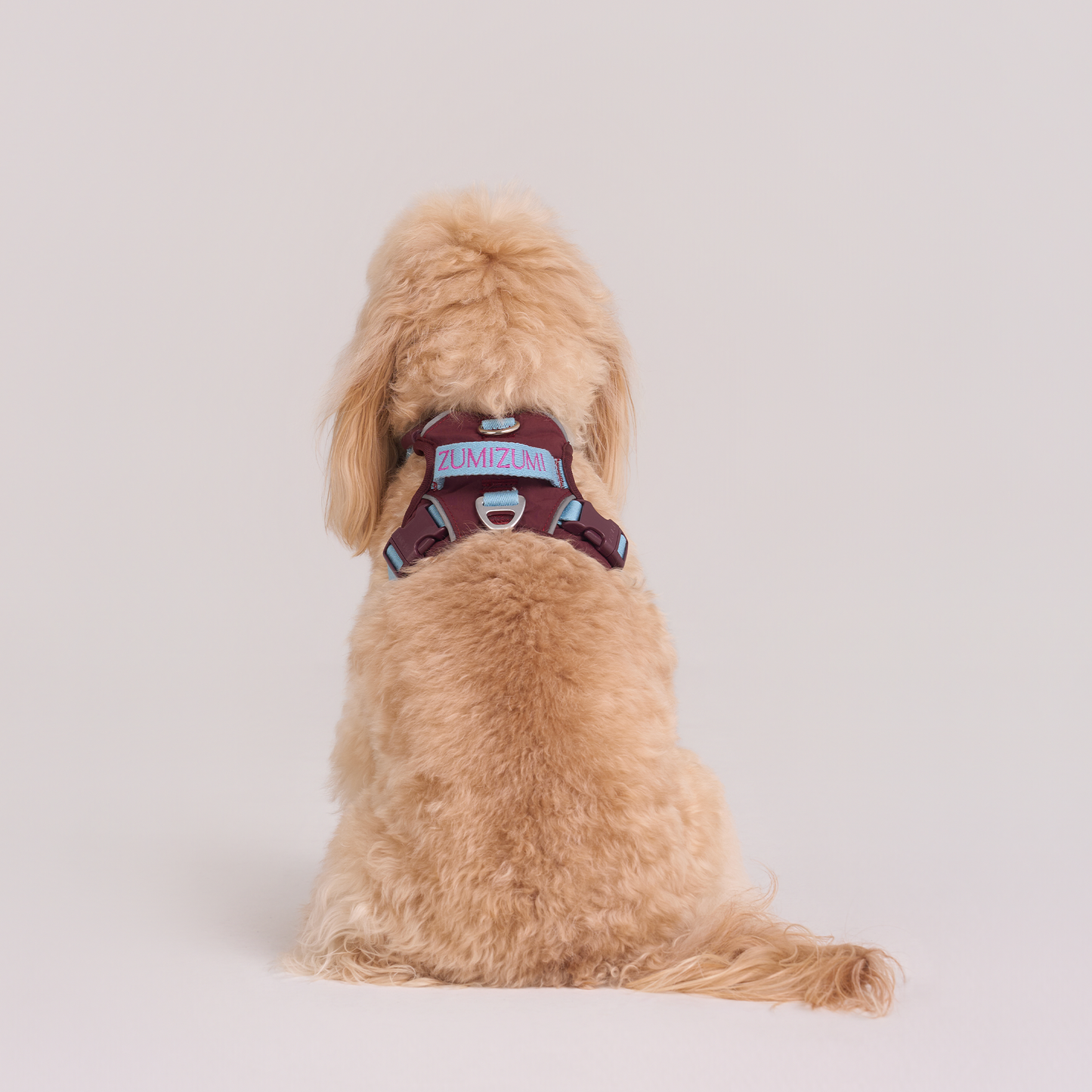Chelsea Cherry Pie Harness--Burgundy/ Teal