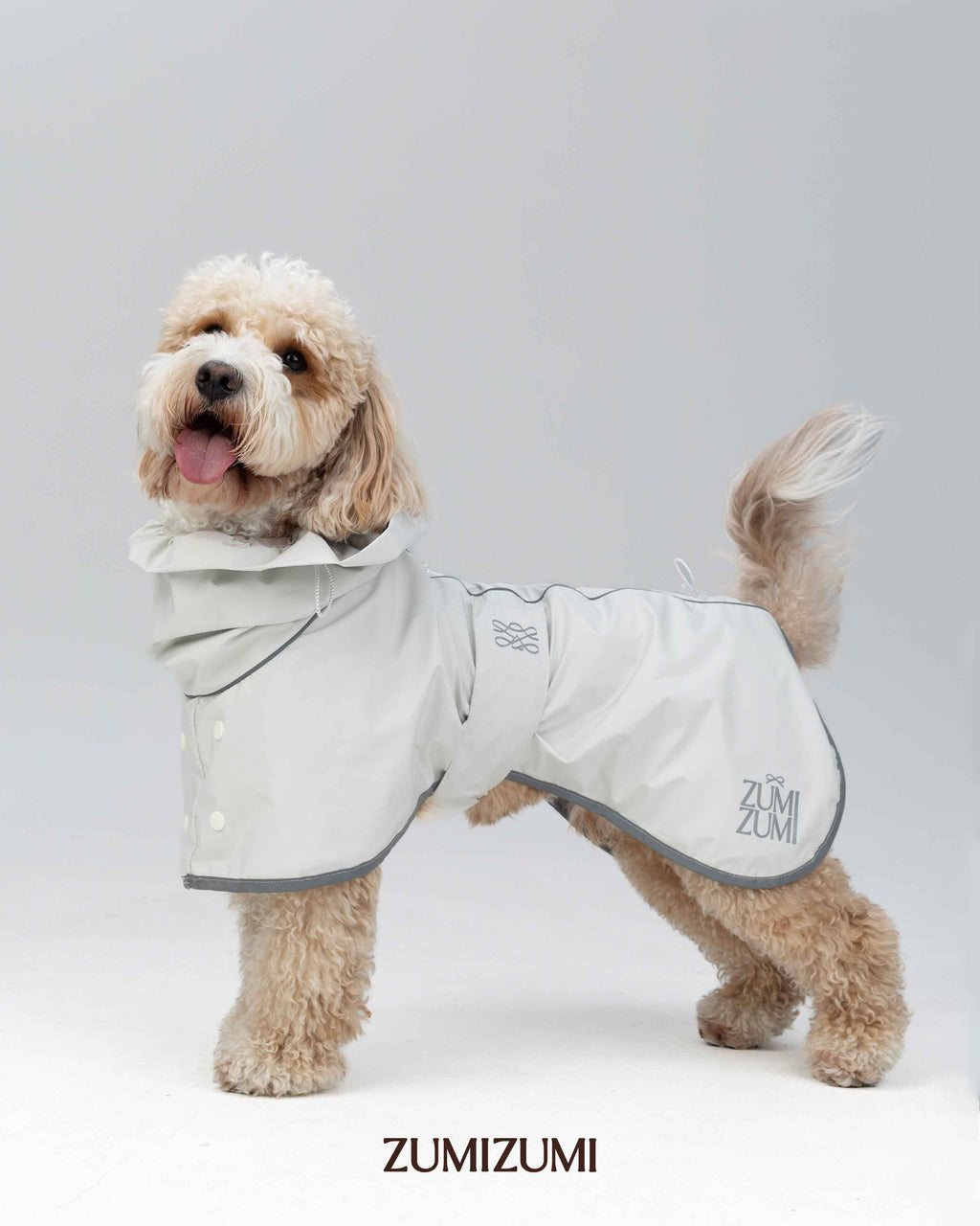 Raincoat -- Light Grey