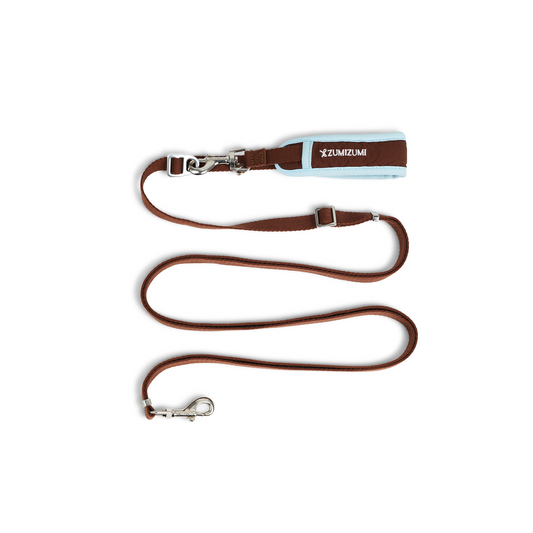Chelsea Everyday Multi-functional Leash -- Brown&Blue