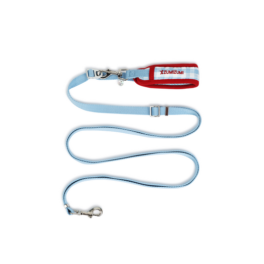 Chelsea Everyday Multi-functional Leash -- Blue Gingham