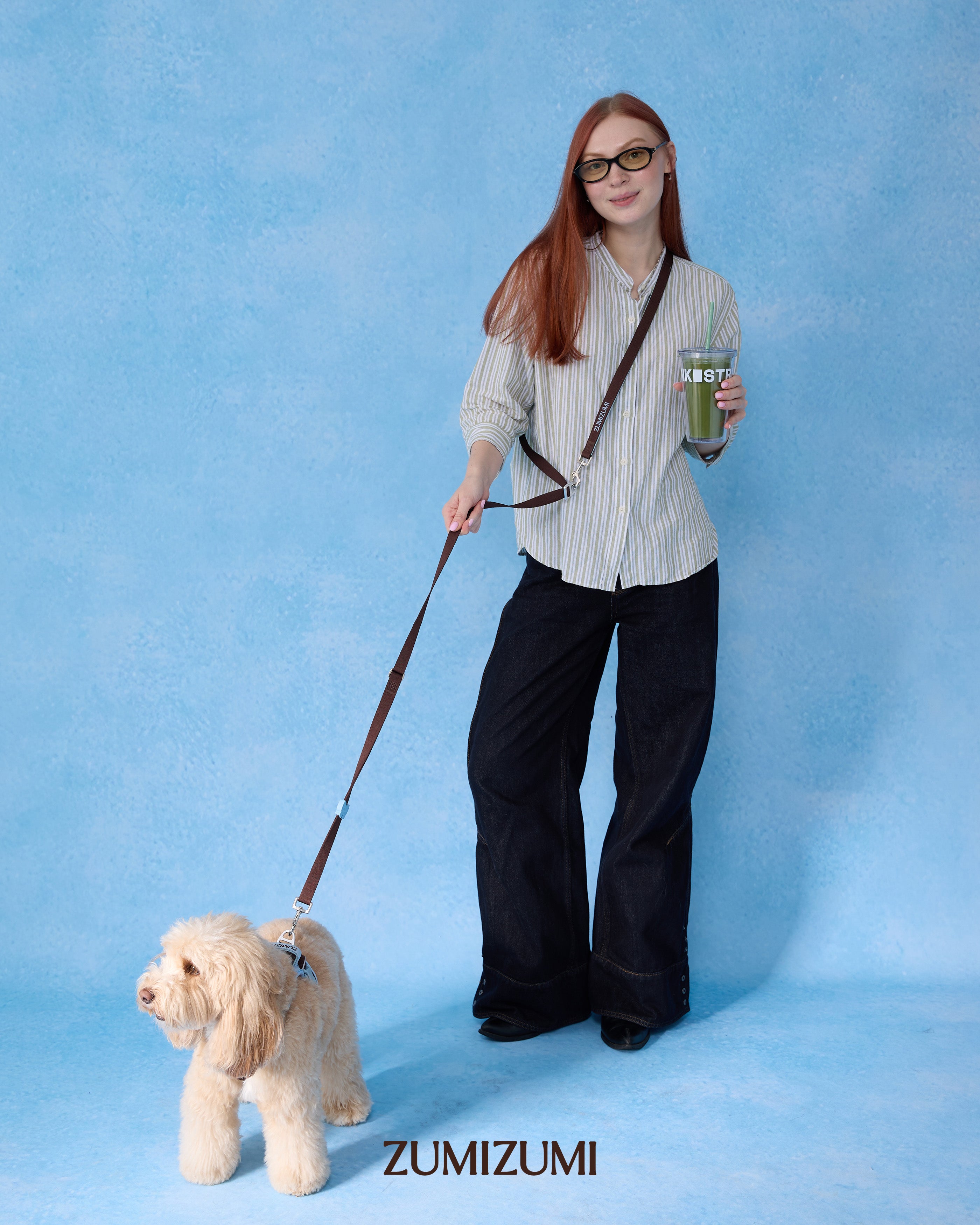 Hands-free Leash -- Brown/Blue 2.0
