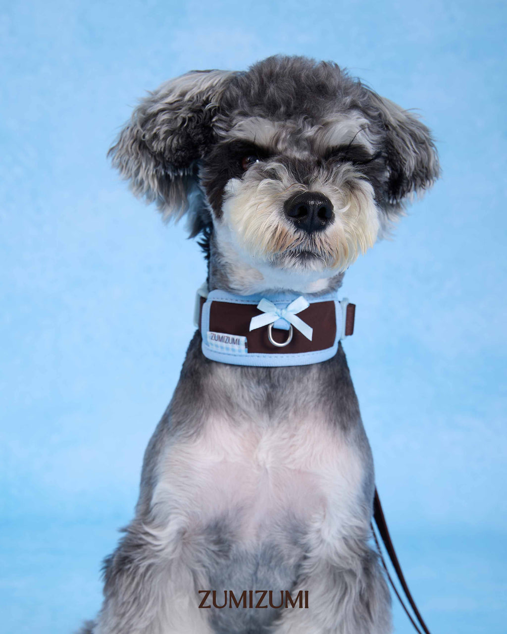 Collar -- Brown/Blue 2.0