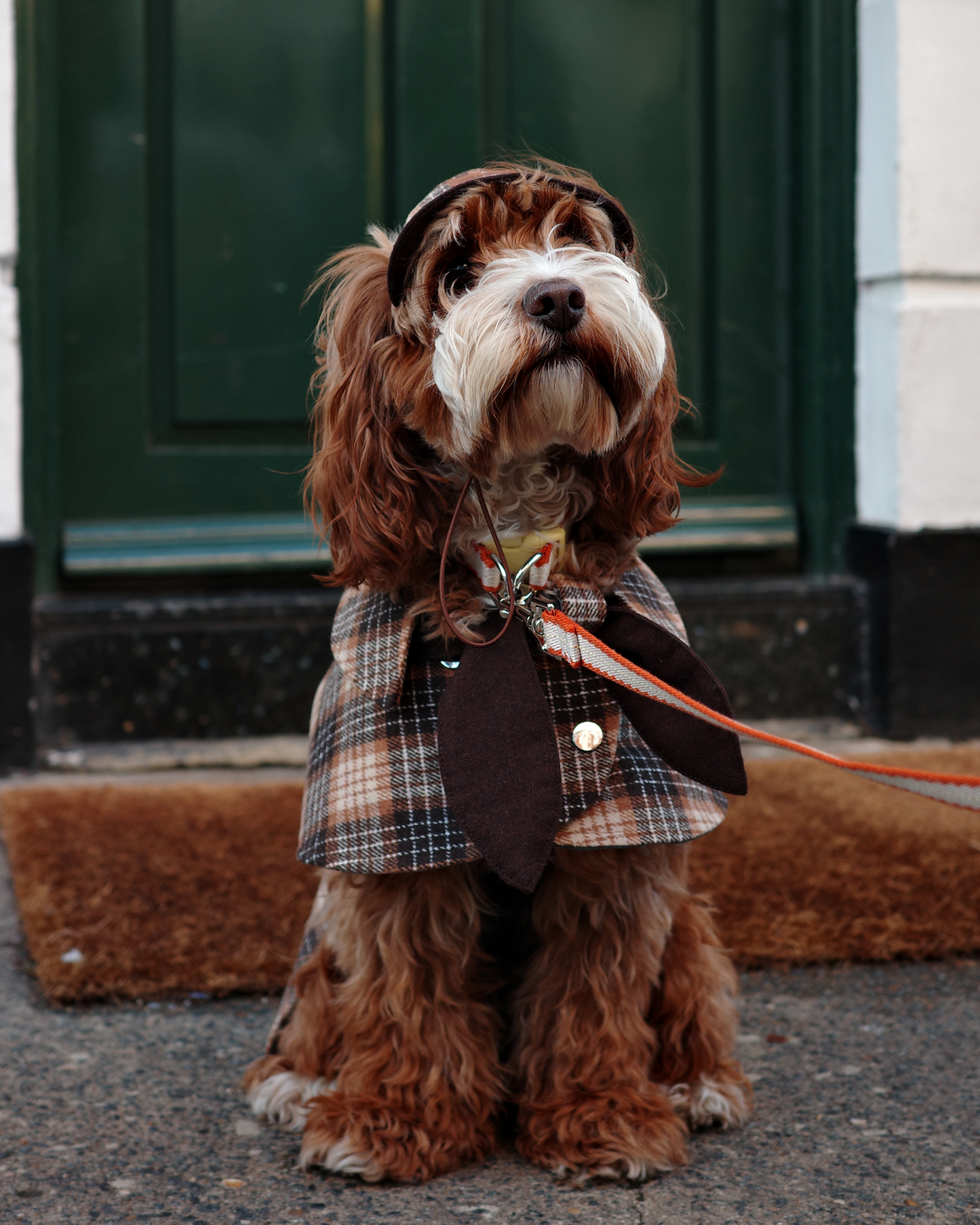 Detective Cape Jacket --Brown/Beige