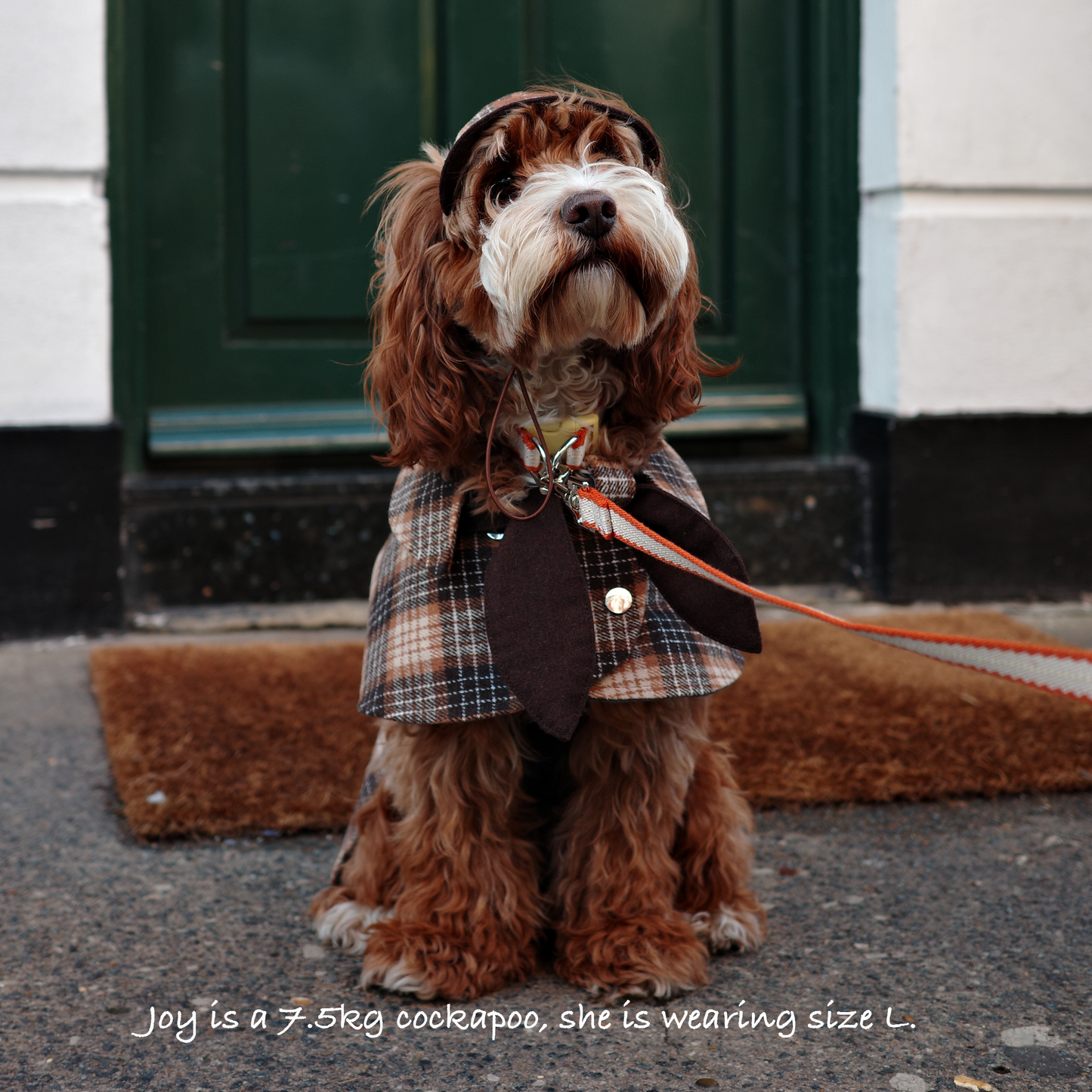 Sherlock Warm Plaid Jacket --Brown/Beige