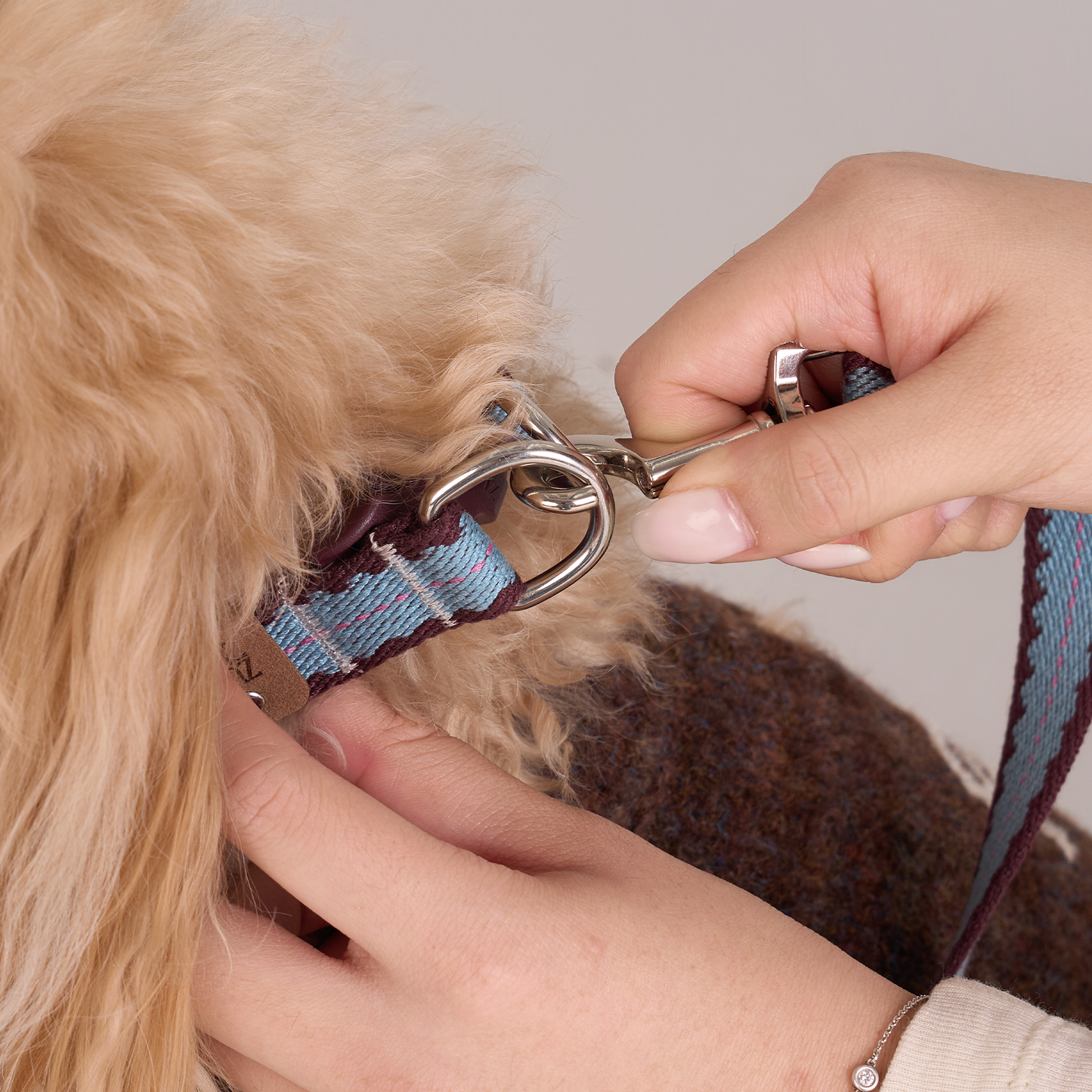 Cherry Biscuit Safety Collar -- Burgundy/ Teal/ Lilac Pink