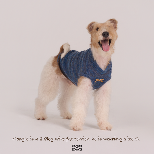 Oxford Knit Vest -- Denim Blue / Brown