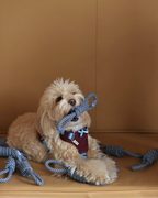 Toy -- Knotted Rope