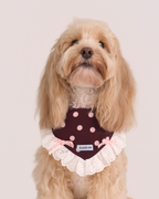 Bandana -- Burgundy/Pink