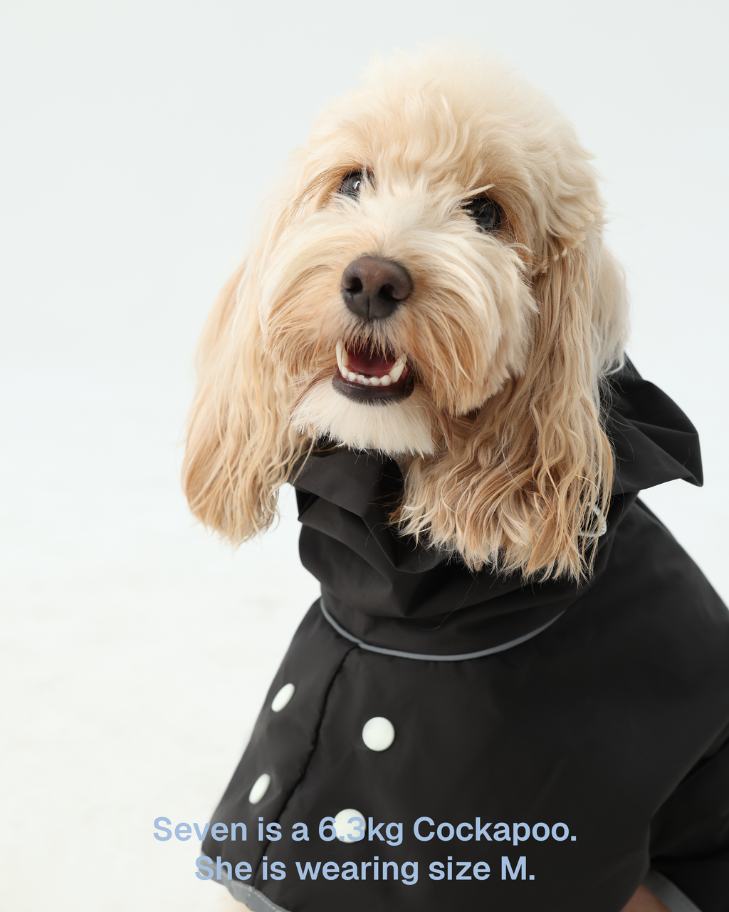 Raincoat -- Black