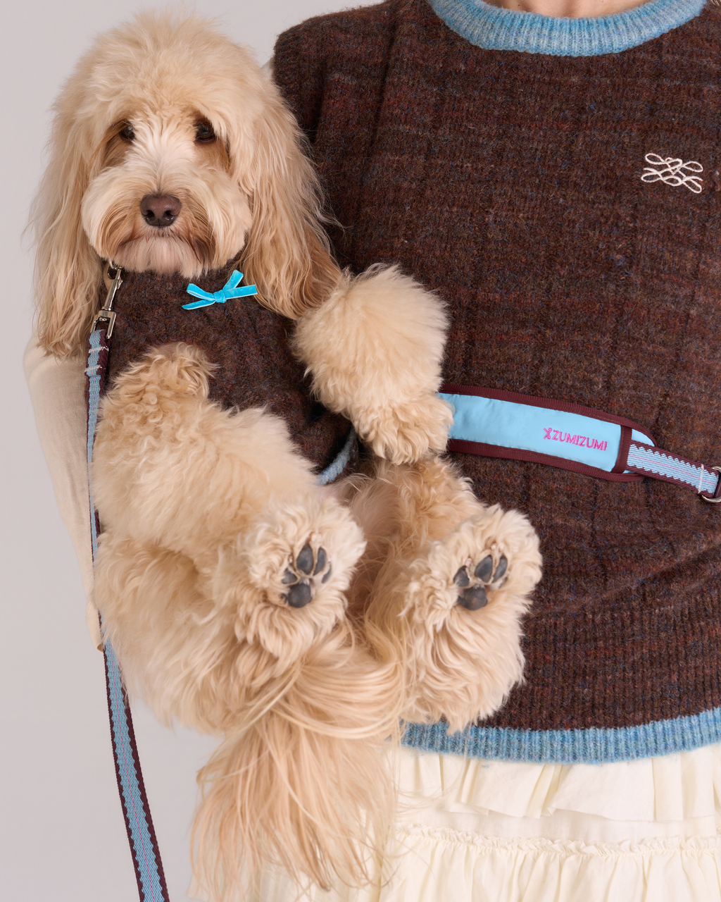 Hands-free Leash -- Burgundy/Teal