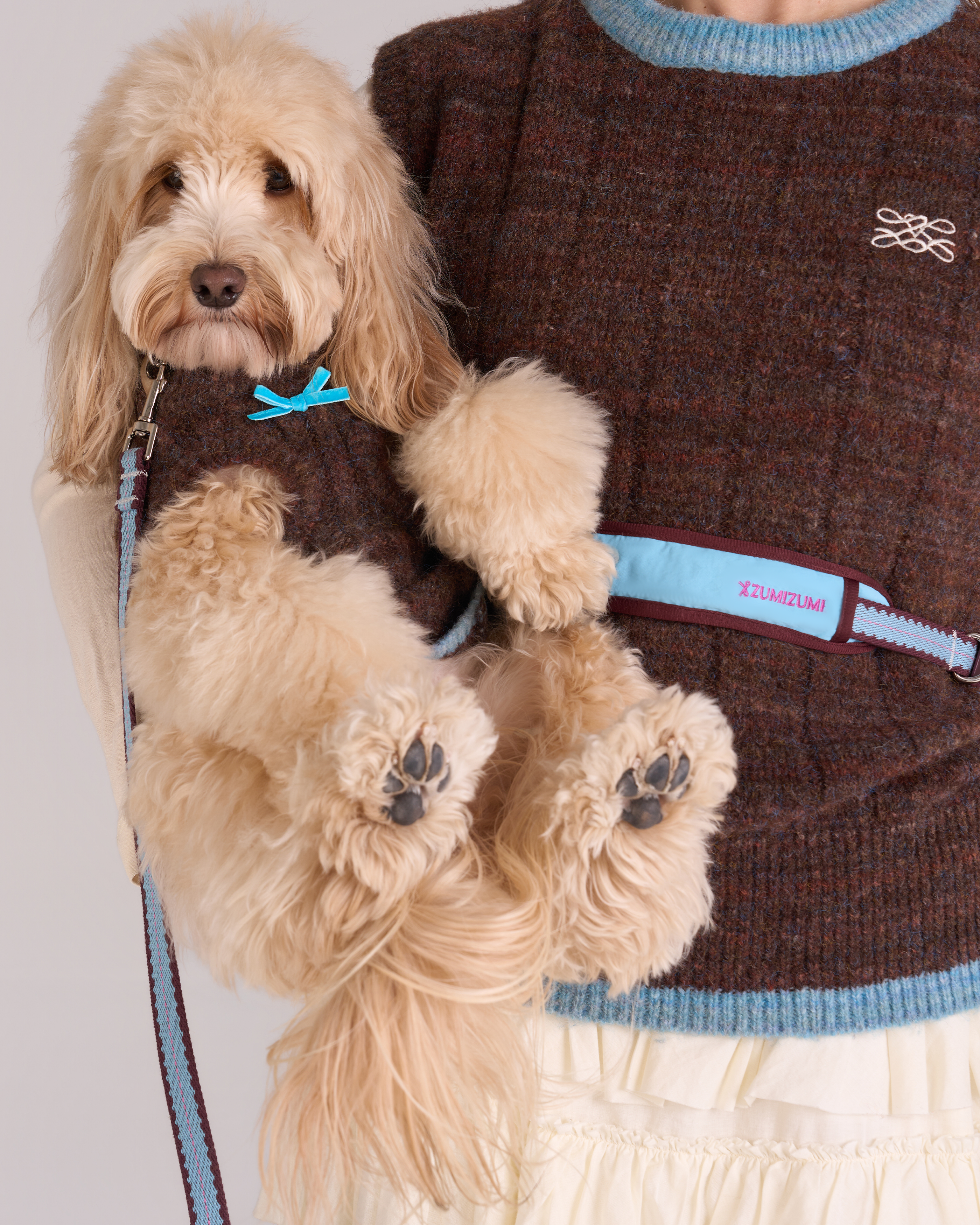 Laisse mains libres Cherry Biscuit -- Bordeaux/Turquoise/Rose lilas