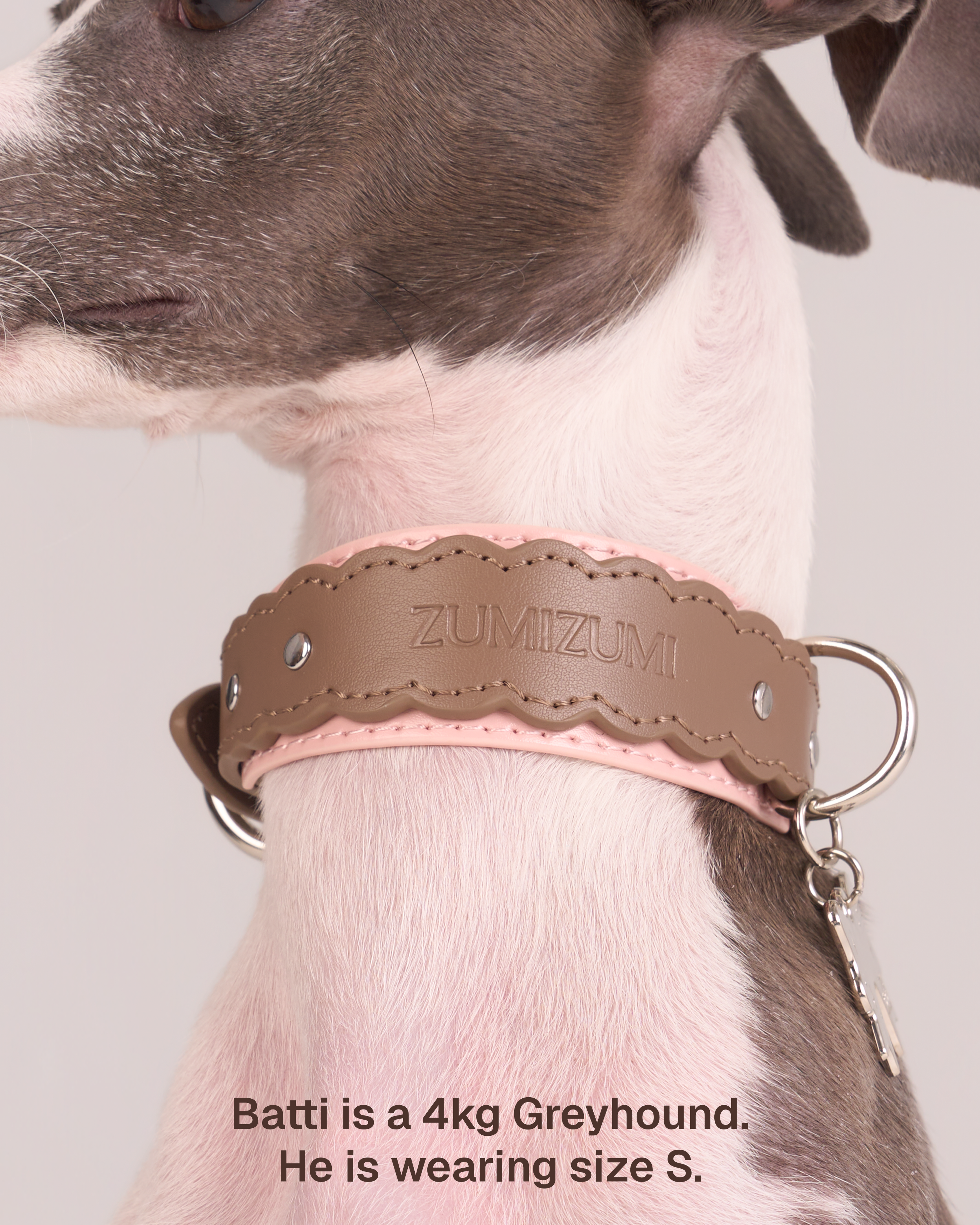 Collier en cuir festonné Mayfair -- Marron/Rose