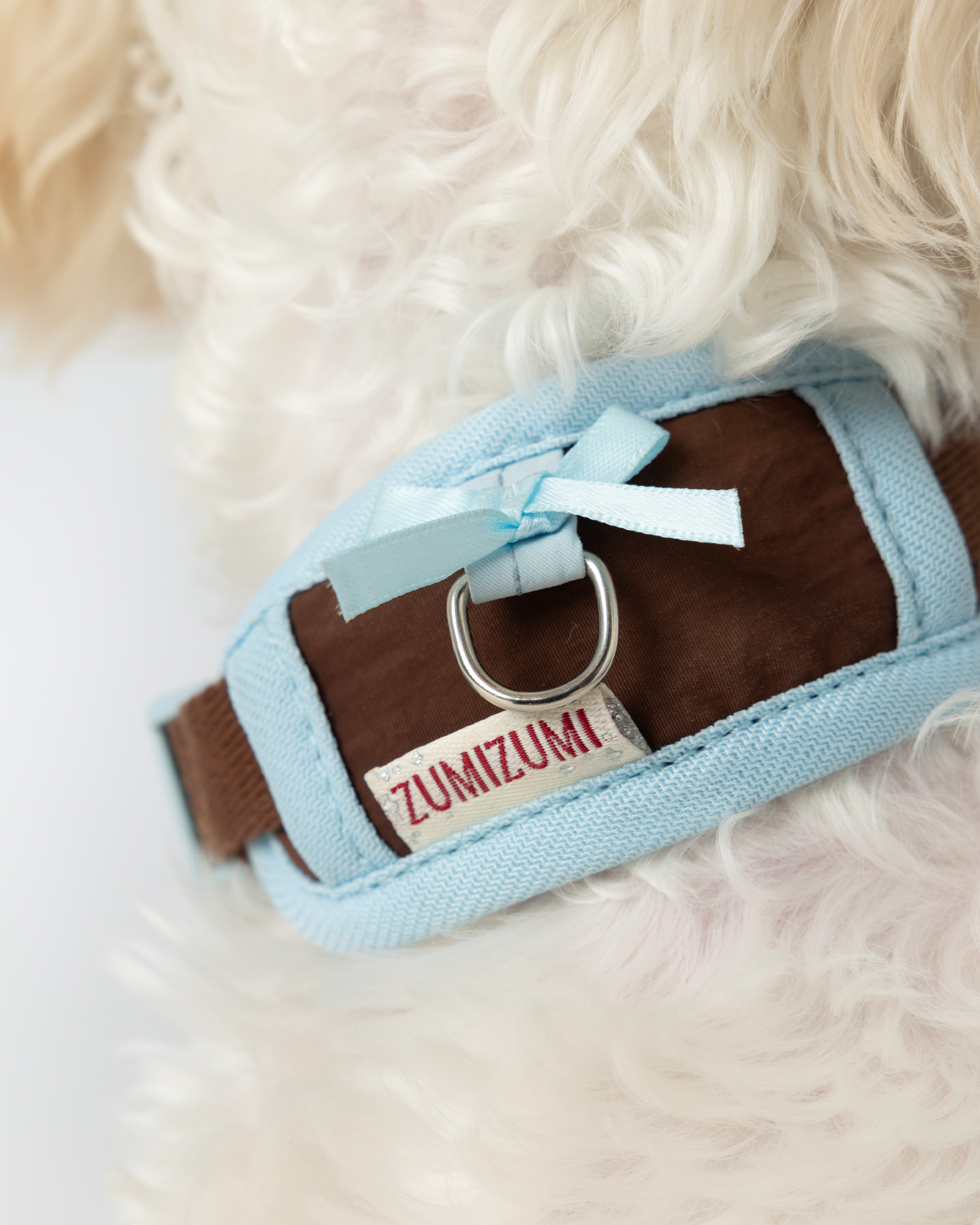 Col Chelsea Everyday - Marron et bleu