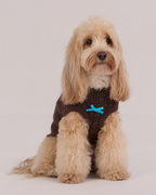 Knit Vest -- Brown/Light Blue