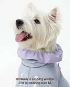 Raincoat -- Blue/Purple