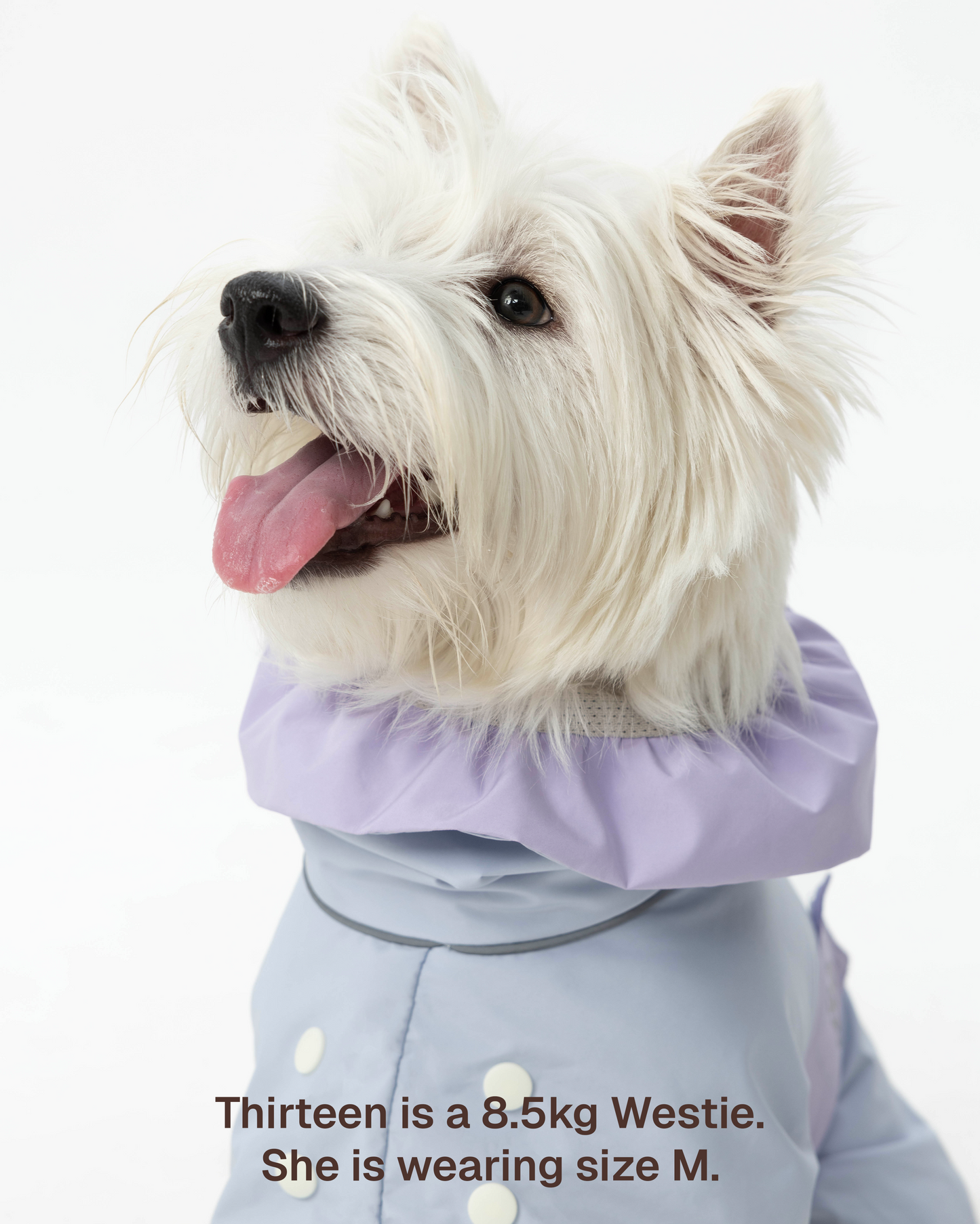 Heath Waterproof Shell Jacket -- Blue/Purple